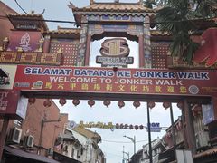 -马六甲鸡场街