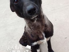 -北国超市(益元店)