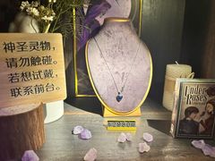 -雪灵魔法世界SHELLY’S TAROT(大良桂畔里店)
