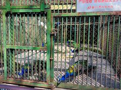 -合肥野生动物园