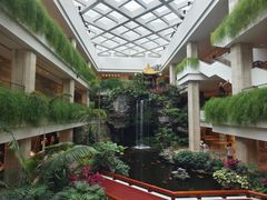 -白天鹅宾馆·月兔吧