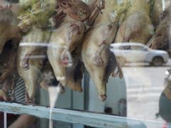 -晓马鸭店(新芜路店)