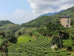 -杨家堂村