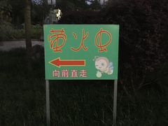 -青山公园萤火虫科普展