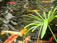 -聚福宝合苑食府(南头镇店)