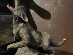 -正佳自然科学博物馆