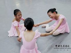 -中央芭蕾舞团·中芭艺蕾(酒仙桥明星校区)