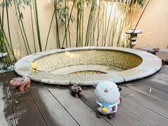 -春晖园度假酒店温泉