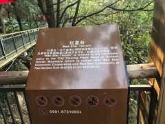 -金鸡山公园