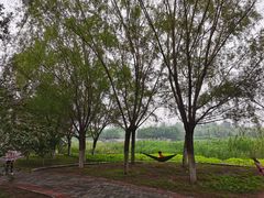 -永定河休闲森林公园