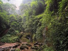 -赤水丹霞旅游区·佛光岩