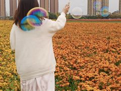 -映月湖中央公园