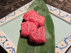 -老乾杯(深圳湾万象城店)