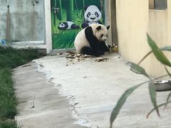 -西安秦岭野生动物园