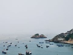 -枸杞岛