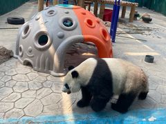 -沈阳森林动物园
