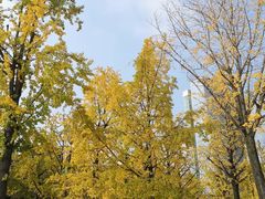 -百林公园-两江幸福广场