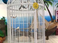 -石家庄海洋公园