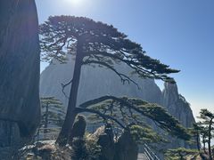 -黄山风景区