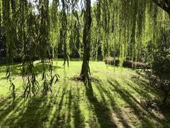 -上海虹桥迎宾馆