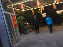-瑞丰园庭院餐厅·白族传统家常菜