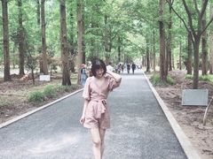 -东平国家森林公园
