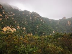 -大岭沟猕猴桃谷风景区