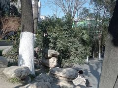 -莲湖公园