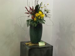 -东南花都花博园