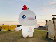 -长洲岛