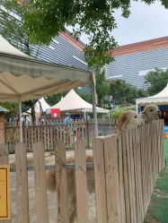 点击看大图 -萌宠亲子动物乐园(槐房万达店)