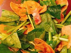 -樱の花亭日本料理店