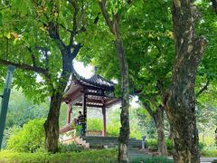 -四海公园(南山区)