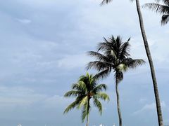 -珍宝海鲜(东海岸海鲜中心)