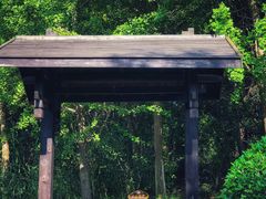 -梁鸿国家湿地公园