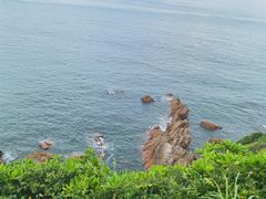 -杨梅坑