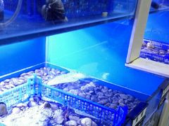 水产区-老虎滩大连海鲜烧烤(建邺云锦路总店)
