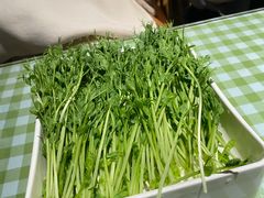 -番食园鲜食火锅(高新店)