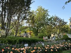 -济南大明湖景区