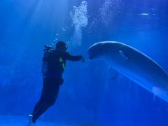 -多彩贵州城极地海洋世界