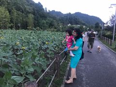 -贵阳市花溪国家城市湿地公园