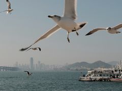 -星海广场