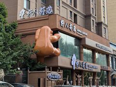 -野人部落(沈阳一店)