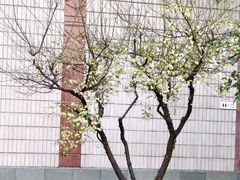 -浙江省博物馆(孤山馆区)