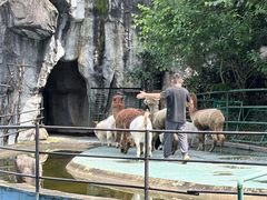 -南昌动物园