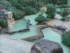 -吴淞炮台湾湿地森林公园烧烤区