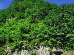 -红河谷漂流