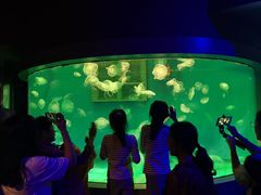 -大连圣亚海洋世界