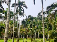 -中国科学院西双版纳热带植物园