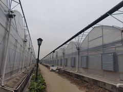 -喜杨洋草莓采摘园